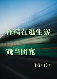 作精攻略下载